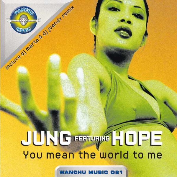 JUNG - You Mean The World To Me (remixes)
